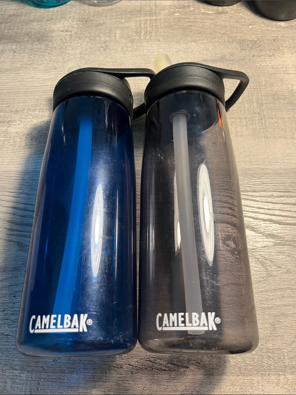 CamelBak Twin Water Bottles in Blue and Smoke Gray